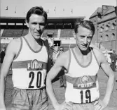 Från friidrottstävlingarna på Stockholms Stadion den 21 augusti. T h 
Jean Fayolle (nr19), från Frankrike, som vann löpningen på 5000
meter. Hans franske kollega Jean Pierre Quine kom tvåa på samma
distans.