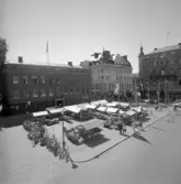 Stora torget