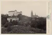 Kabinettsfotografi - Uppsala slott från Stadsträdgården