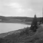 Säter, Gustafs, Mossby.