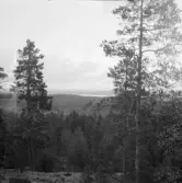 Falun, Björnmyra, Sundborn.