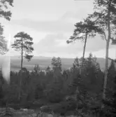 Falun, Björnmyra, Sundborn. Lisselhaga och Lövnäs från Björnmyrberget.