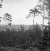 Falun, Björnmyra, Sundborn.