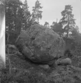 Falun, Björnmyra, Sundborn. Jättesten på Björnmyrberget.