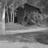 Falun, Kolarbo, Sundborn. Härbre.