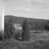 Falun, Karlsby, Sundborn. En vid Karlsby fäbodar, Toxen & Toxberget.