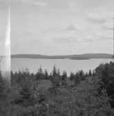 Falun, Karlsby, Sundborn. Logärden fr NV, ovan Vitsand med Lövön & Boön.