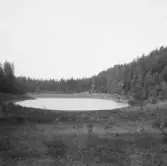 Säter, Gustafs. En av Vildsjöarna.