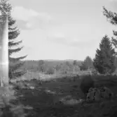 Falun, Karlsby, Sundborn. Hinsåsen och Mörberget från Karlsby fäbodar.