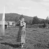 Falun, Karlsby, Sundborn. En vallhornslåt vid Karlsby fäbodar.