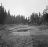 Säter, Gustafs. En av Vildsjöarna.