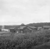 Falun, Karlsby, Sundborn. Karlsbyn Karlsbyheden.