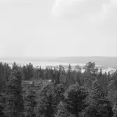 Falun, Hinsåsen, Sundborn. Hinsen från Hinsåsens brandtorn.