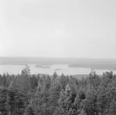 Falun, Hinsåsen, Sundborn. St Logärden från Hinsåsens brandtorn.