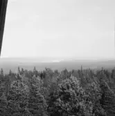 Falun, Hinsåsen, Sundborn. Hinsåsen.