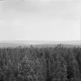 Falun, Hinsåsen, Sundborn. Hinsåsen.