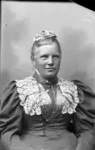 Fru Fanny Dahlgren