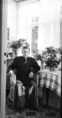 Porträtt av en ung man som sitter i en korgstol på en glasveranda omgiven av blomster. Troligen firas hans födelsedag. Möjligen fotografen själv. Troligen samma bostad som bildnr E8219-E8220.