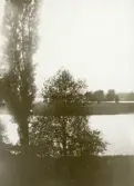 Bild från Gysinge med träd längs med dalälven, (eventuellt Färnebofjärden).