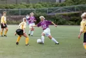 Fotbollslaget Jitex BK spelar match mot Lindsdals IF på Kvarnbyvallen i Mölndal den 29 maj 1993. Jitex BK förlorade matchen med 2-3.