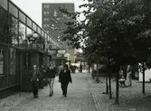 Hammarkullen
Butikscentrum