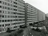 Hammarkullen
Bredefjällsgatan