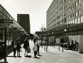Hammarkullen
Butikscentrum