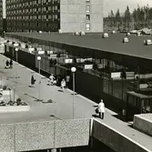 Gårdsten
Gårdsten centrum
