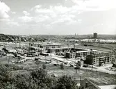 Backa Brunnsbo
Öster om Litteraturgatan