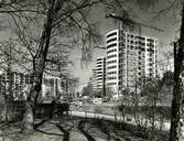 Punkthus i Järnbrott
Kommandobryggorna vid Norra och Södra Dragspelsgatan.
De 16 punkthusen i tolv våningar uppfördes under 1960-talets första år av Göteborgs stads bostadsaktiebolag.