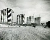 Punkthus i Järnbrott
Kommandobryggorna vid Norra och Södra Dragspelsgatan.
De 16 punkthusen i tolv våningar uppfördes under 1960-talets första år av Göteborgs stads bostadsaktiebolag.