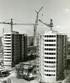 Punkthus i Järnbrott
Kommandobryggorna vid Norra och Södra Dragspelsgatan.
De 16 punkthusen i tolv våningar uppfördes under 1960-talets första år av Göteborgs stads bostadsaktiebolag.