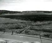 Järnbrott