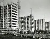 Punkthus i Järnbrott
Kommandobryggorna vid Norra och Södra Dragspelsgatan.
De 16 punkthusen i tolv våningar uppfördes under 1960-talets första år av Göteborgs stads bostadsaktiebolag.