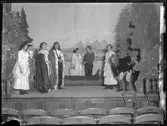 Scen ur Prinsessans visa, framförd av Ungdomsteatern på Vetenskapsakademien 1908 (se Idun 1908:17). Skannat glasnegativ