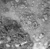 Björskog sn Åsta 2:3 Arkeologisk undersökning p g a breddning av väg 510 av Vlm / Henry Simonsson 6 - 24/8 1962 Rapport i Vlm:s arkiv.
Negativ till fotokarta

Koordinater X110 Y255
Samhör med:  inv.nr 14641 - 14642