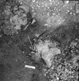 Björskog sn Åsta 2:3 Arkeologisk undersökning p g a breddning av väg 510 av Vlm / Henry Simonsson 6 - 24/8 1962 Rapport i Vlm:s arkiv.
Negativ till fotokarta

Koordinater X 125 Y200
Samhör med:  inv.nr 14641 - 14642