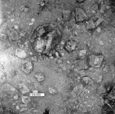 Björskog sn Åsta 2:3 Arkeologisk undersökning p g a breddning av väg 510 av Vlm / Henry Simonsson 6 - 24/8 1962 Rapport i Vlm:s arkiv.
Negativ till fotokarta

Koordinater X125 Y250
:: Samhör med:  inv.nr 14641 - 14642