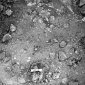 Björskog sn Åsta 2:3 Arkeologisk undersökning p g a breddning av väg 510 av Vlm / Henry Simonsson 6 - 24/8 1962 Rapport i Vlm:s arkiv.
Negativ till fotokarta

Koordinater X125 Y255
:: Samhör med:  inv.nr 14641 - 14642