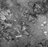 Björskog sn Åsta 2:3 Arkeologisk undersökning p g a breddning av väg 510 av Vlm / Henry Simonsson 6 - 24/8 1962 Rapport i Vlm:s arkiv.
Negativ till fotokarta

Koordinater X130 Y260
Samhör med:  inv.nr 14641 - 14642