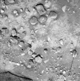 Björskog sn Åsta 2:3 Arkeologisk undersökning p g a breddning av väg 510 av Vlm / Henry Simonsson 6 - 24/8 1962 Rapport i Vlm:s arkiv.
Negativ till fotokarta

Koordinater X130 Y205
Samhör med:  inv.nr 14641 - 14642