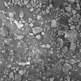 Björskog sn Åsta 2:3 Arkeologisk undersökning p g a breddning av väg 510 av Vlm / Henry Simonsson 6 - 24/8 1962 Rapport i Vlm:s arkiv.
Negativ till fotokarta

Koordinater X140 Y260
Samhör med:  inv.nr 14641 - 14642