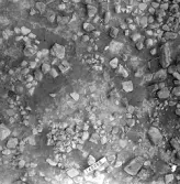 Björskog sn Åsta 2:3 Arkeologisk undersökning p g a breddning av väg 510 av Vlm / Henry Simonsson 6 - 24/8 1962 Rapport i Vlm:s arkiv.
Negativ till fotokarta

Koordinater X140 Y265
Samhör med:  inv.nr 14641 - 14642