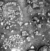 Björskog sn Åsta 2:3 Arkeologisk undersökning p g a breddning av väg 510 av Vlm / Henry Simonsson 6 - 24/8 1962 Rapport i Vlm:s arkiv.
Negativ till fotokarta

Koordinater X145 Y225
Samhör med:  inv.nr 14641 - 14642