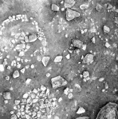 Björskog sn Åsta 2:3 Arkeologisk undersökning p g a breddning av väg 510 av Vlm / Henry Simonsson 6 - 24/8 1962 Rapport i Vlm:s arkiv.
Negativ till fotokarta

Koordinater X145 Y225  2
Samhör med:  inv.nr 14641 - 14642