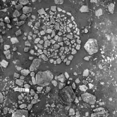 Björskog sn Åsta 2:3 Arkeologisk undersökning p g a breddning av väg 510 av Vlm / Henry Simonsson 6 - 24/8 1962 Rapport i Vlm:s arkiv.
Negativ till fotokarta

Koordinater X145 Y265
Samhör med:  inv.nr 14641 - 14642