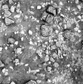 Björskog sn Åsta 2:3 Arkeologisk undersökning p g a breddning av väg 510 av Vlm / Henry Simonsson 6 - 24/8 1962 Rapport i Vlm:s arkiv.
Negativ till fotokarta

Koordinater X150 Y225
Samhör med:  inv.nr 14641 - 14642