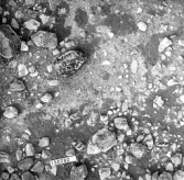 Björskog sn Åsta 2:3 Arkeologisk undersökning p g a breddning av väg 510 av Vlm / Henry Simonsson 6 - 24/8 1962 Rapport i Vlm:s arkiv.
Negativ till fotokarta

Koordinater X 150 Y260
Samhör med:  inv.nr 14641 - 14642