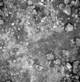 Björskog sn Åsta 2:3 Arkeologisk undersökning p g a breddning av väg 510 av Vlm / Henry Simonsson 6 - 24/8 1962 Rapport i Vlm:s arkiv.
Negativ till fotokarta

Koordinater X155 Y220  2
:: Samhör med:  inv.nr 14641 - 14642