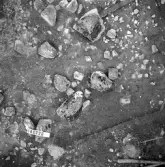 Björskog sn Åsta 2:3 Arkeologisk undersökning p g a breddning av väg 510 av Vlm / Henry Simonsson 6 - 24/8 1962 Rapport i Vlm:s arkiv.
Negativ till fotokarta

Koordinater X160 Y220
Samhör med:  inv.nr 14641 - 14642